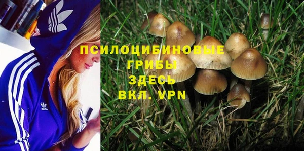прущая мука Мегион