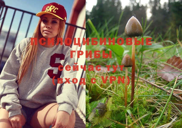 прущая мука Мегион